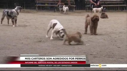 Ciudades en las que los carteros han sido más atacados por los perros