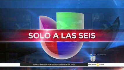 Época de apareamiento de los caimanes en Florida