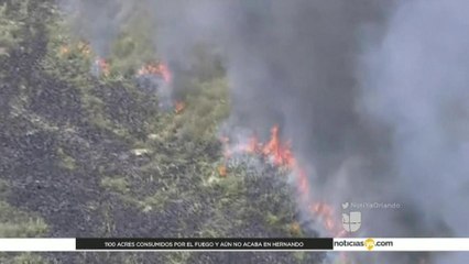 1100 acres consumidos por el fuego y aún no acaba en Hernando