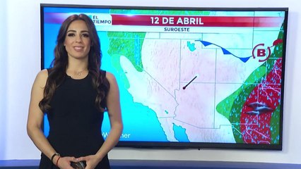 DIGI PALM 0411.mp4