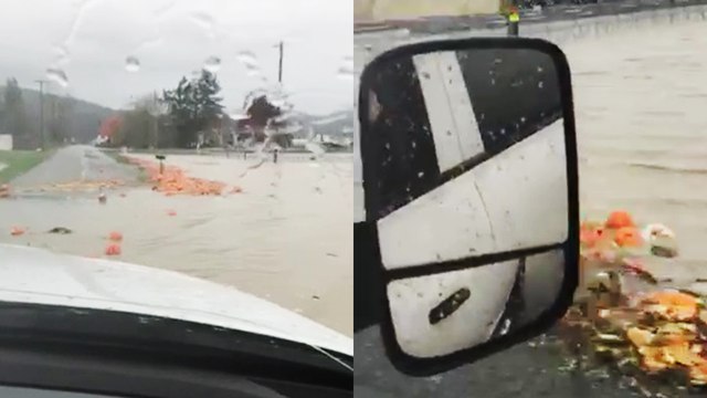 'Fleet of pumpkins floating away along flooded highway in Abbotsford amid BC Storm '