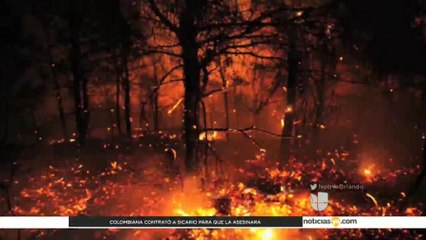Continúa activo incendio forestal en el condado Pasco