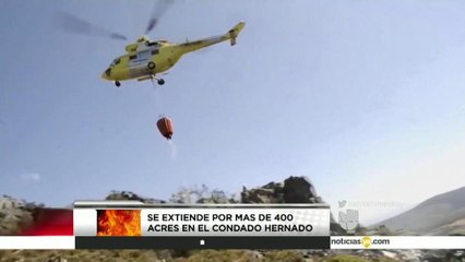 Activo incendio forestal en el condado Hernando