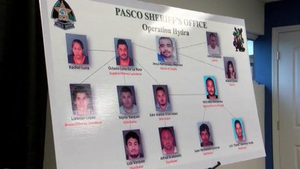 Redada antidrogas envía a 12 criminales a la cárcel