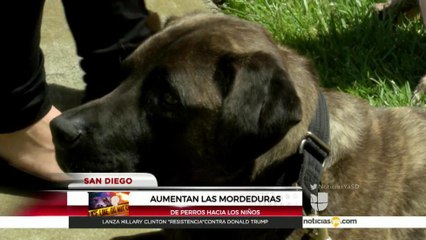 Incrementan moderduras de perros a niños en San Diego