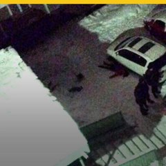 Reto de la ballena azul