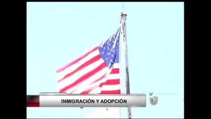 VIDEOS: Niños indocumentados y la adopción