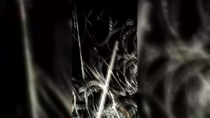 Polonya, Belarus sınırında yaklaşık 100 göçmeni gözaltına aldığını duyurdu