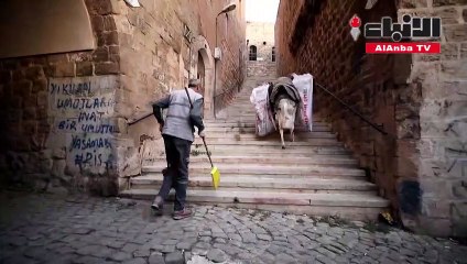 حمير تحب موسيقى بيتهوفن تحافظ على النظافة في ماردين بتركيا