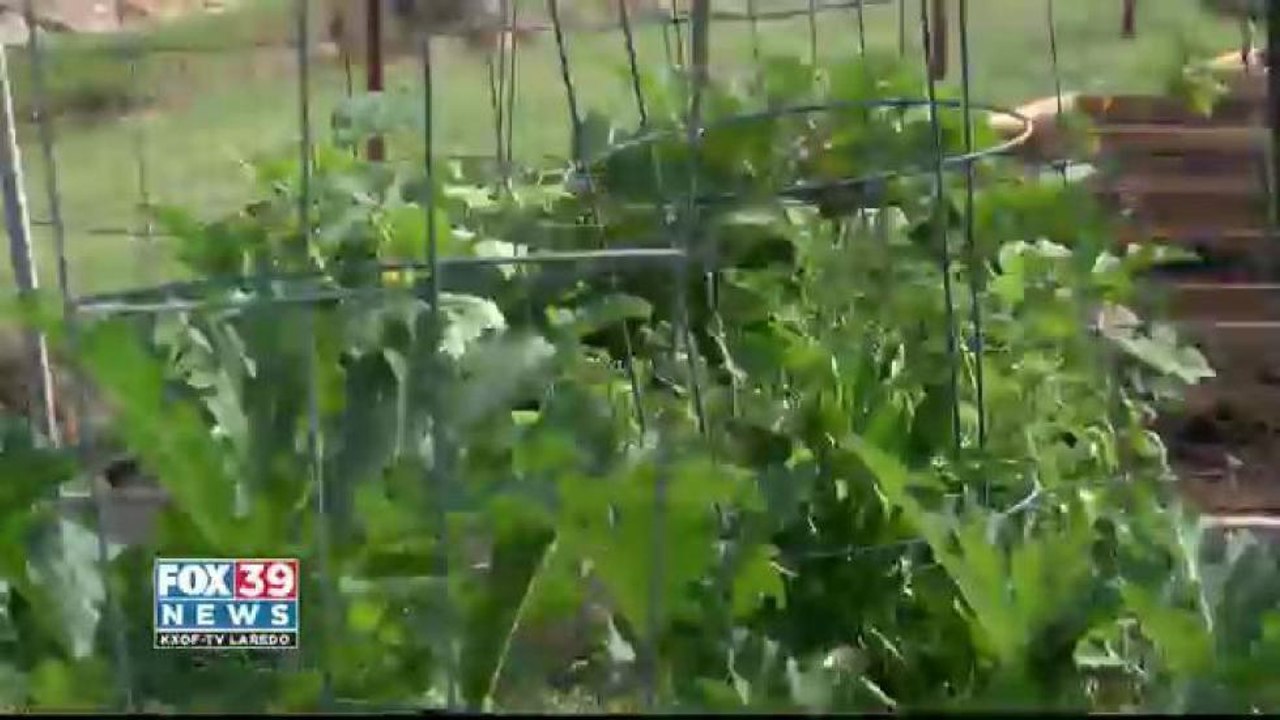 Hillside Community Garden Now Open