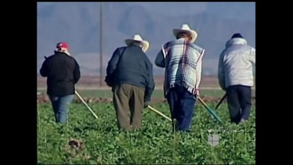 VIDEO: Agencias legales de Salinas reaccionan sobre plan de gastos de Trump