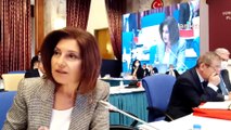 CHP'li Emecan'dan 'Kanal İstanbul' eleştirisi: Bu ucube proje, önümüzdeki seçimlerde iktidarda kalmayacağınız için yapılmayacak