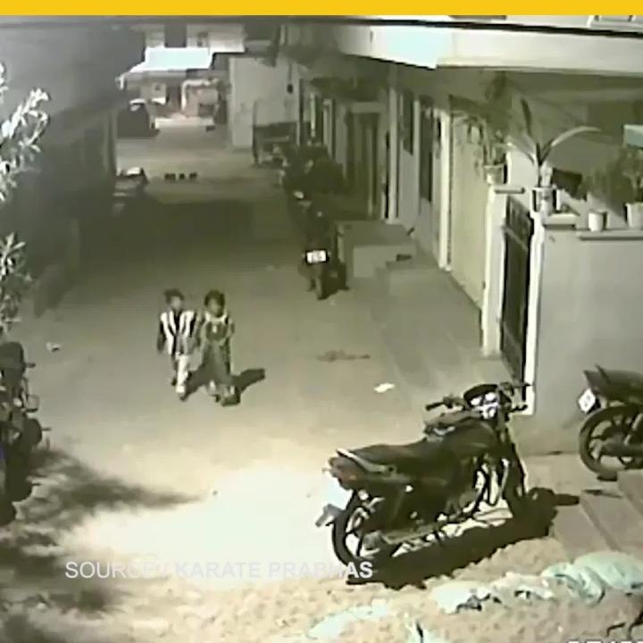 Niño atemoriza a una jauría de perros bravos con "acto heroico"