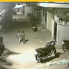 Niño atemoriza a una jauría de perros bravos con "acto heroico"