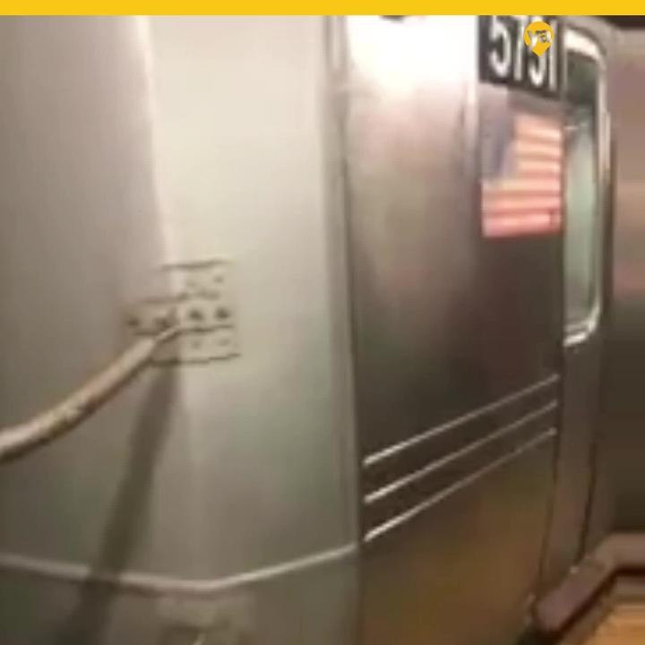Pasajeros del metro de NY luchan para salir