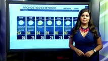 Alerta del tiempo 4 julio 2017 Tampa