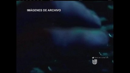 VIDEO: Importancia de que padres revisen redes sociales de sus hijos