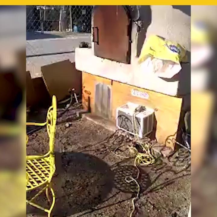 Chiqui y Petunia con su propia refrigeración
