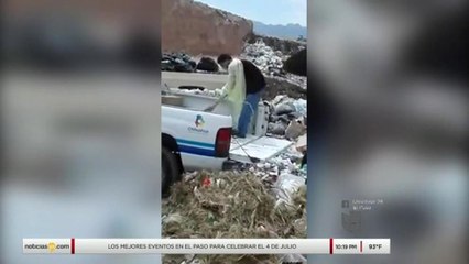 Mascotas por siempre: Segunda parte