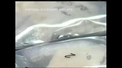 VIDEO: Nuevo tipo de droga más letal llega al condado de SLO