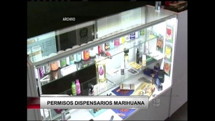 VIDEO: Buscan extender permisos para la marihuana medicinal