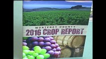 VIDEO: Revelan reporte de cultivos agrícolas en el condado de Monterey