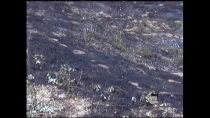 VIDEO: Sigue en pie orden de desalojo en Santa Margarita por incendio