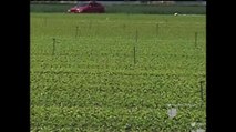 VIDEO: Comisionado agrícola investiga exposición a sustancias tóxicas en Watsonville