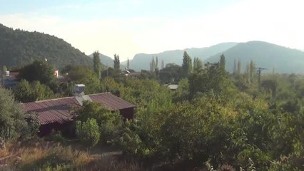 GAZİANTEP - Bağ bozumunun ardından pekmez üretimi başladı