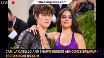 Camila Cabello and Shawn Mendes announce breakup - 1breakingnews.com