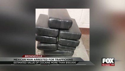 Customs Agents Make Cocaine Bust