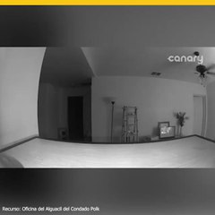 Buscan a ladrón de hogares en el Condado Polk