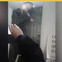 Preso queda atorado en el techo tratando de escapar