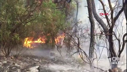 Heybeliada'yı yakan sanığa 12 yıl hapis