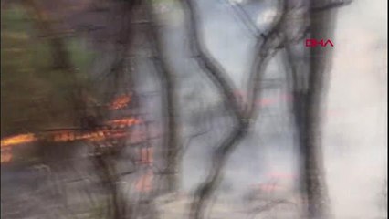 HEYBELİADA'YI YAKAN SANIĞA 12 YIL HAPİS VE 40 BİN LİRA ADLİ PARA CEZASI