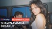 Shawn Mendes, Camila Cabello confirm breakup