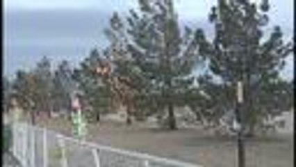 Se aclara quién tomó la decisión de luces en parque Shawver