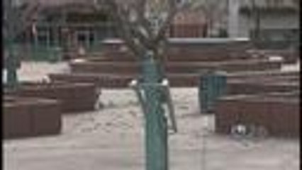 Millonario será el costo de renovación de Plaza San Jacinto