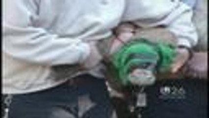 Noticiero 12/16/2013   10pm - 2do corte