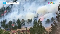 Kebakaran Dahsyat Lenyapkan Ratusan Hektar Hutan di Amerika