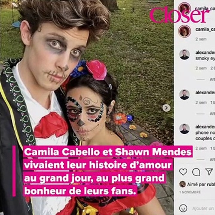 Shawn Mendes et Camila Cabello : c'est fini !