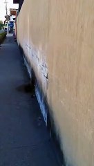 1 On the Road Dash Cam #7