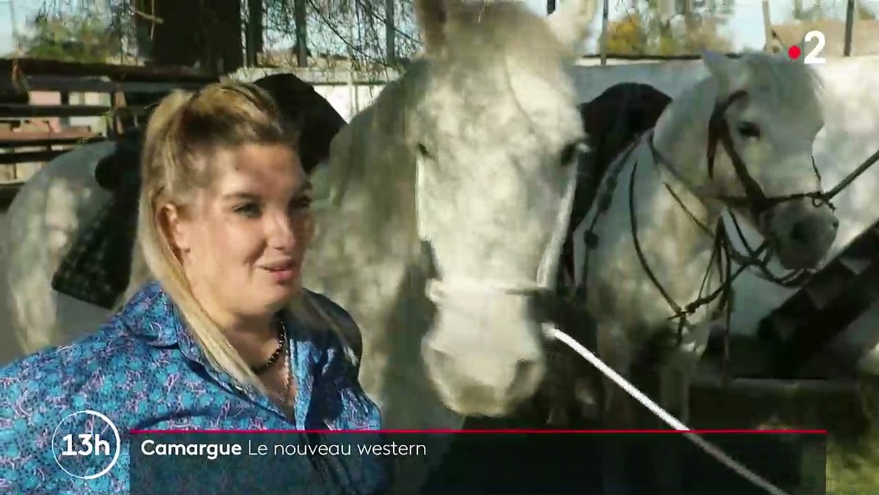 Camargue : à la découverte des célèbres manades