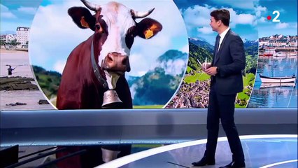 Salon de l'agriculture : Neige, la vache vedette de l'événement