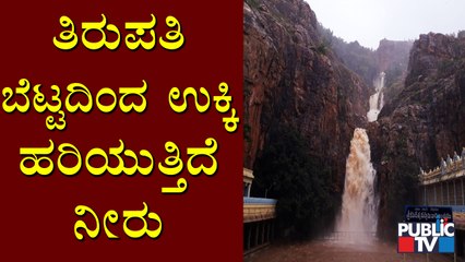 Roads In Tirupati Waterlogged Due To Heavy Rain