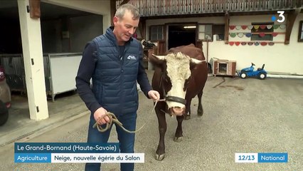 Agriculture : à la découverte de Neige, la future star du Salon