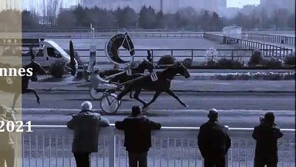 Pronostic pour la course du Quinté PMU du vendredi 19 novembre 2021