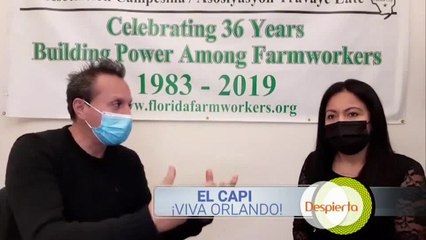 Despierta Orlando 012221 - El Capi