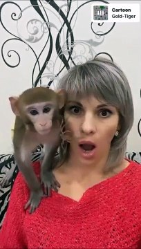 Singe vs filtre araignée... réaction tellement drôle