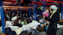 Миграционный кризис: 430 человек вылетели в Ирак